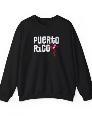 Puerto Rico Coqui SweatShirt Taino boricua SweatShirt Puerto Rican SweatShirt puerto rico shirt Boricua coqui sweatshirt gift retro crewneck